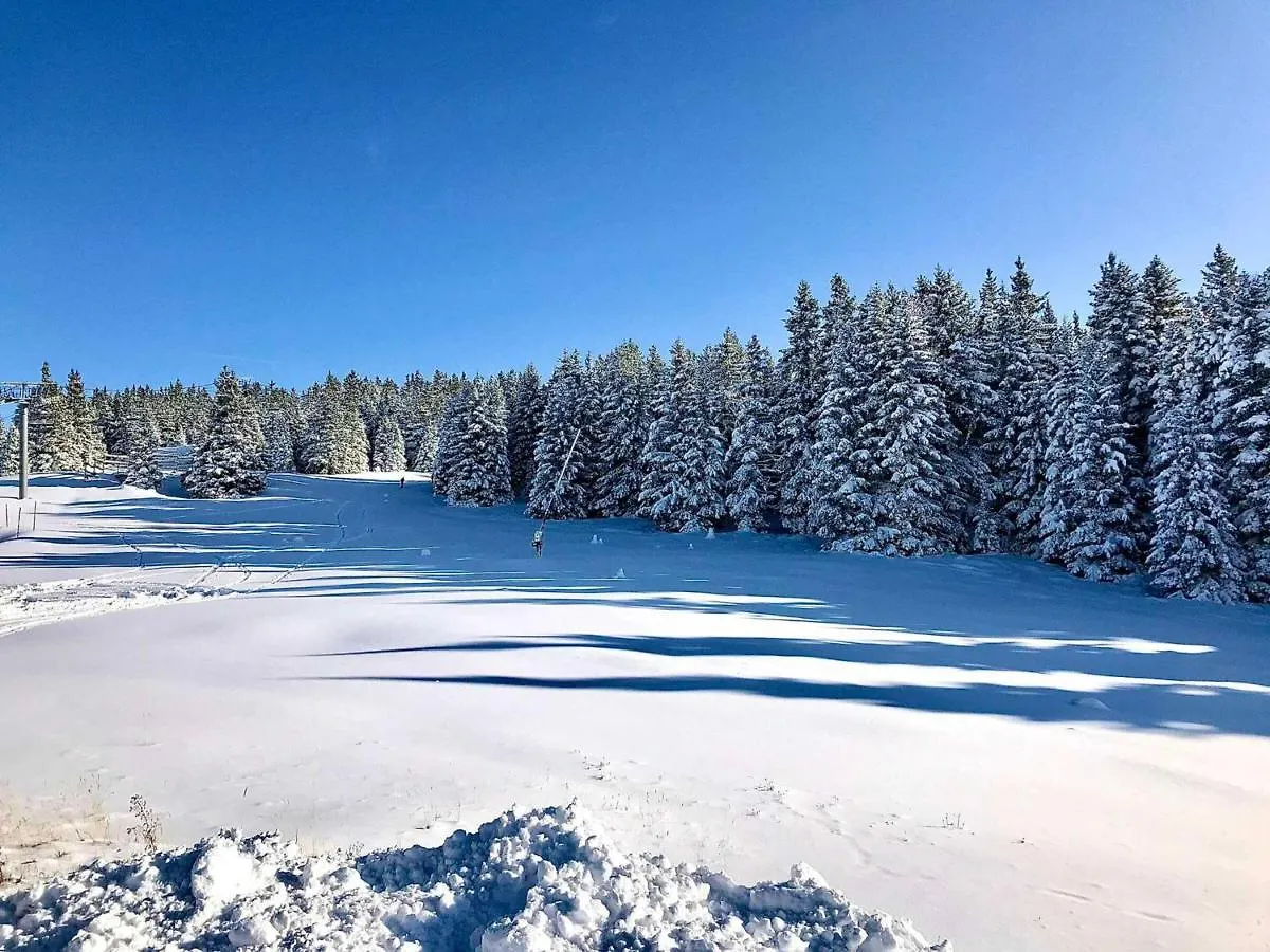 Studio Cabine 27M², Sud, Pied Des Pistes, Balcon, Piscine Ete, Animaux Ok - Fr-1-549-48 Daire Chamrousse 0*,
